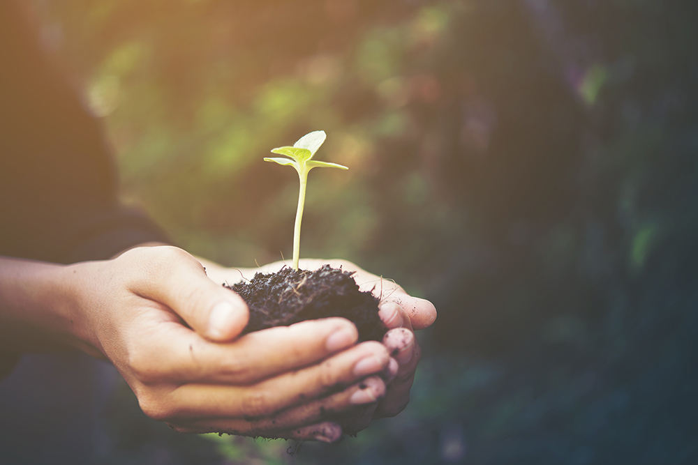 Sulplast e o meio ambiente Sulplast e o meio ambiente